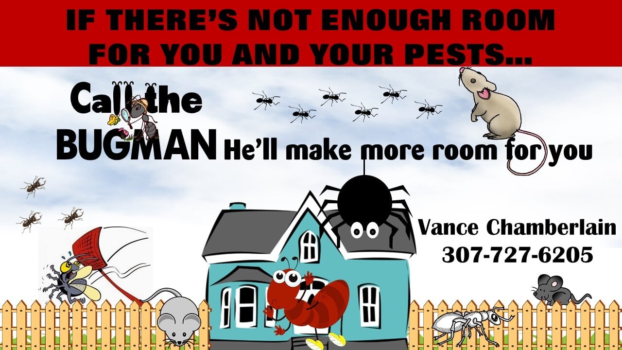 Bug Man 1