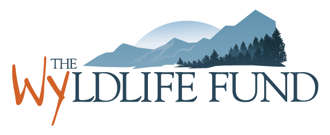 WyldlifeFund-LogoWhite